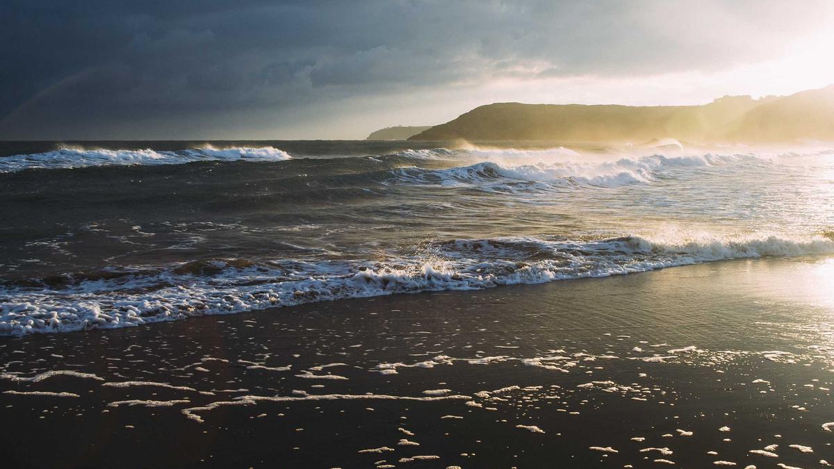 Pilz Anzeige Detailansicht: Pilz Anzeige