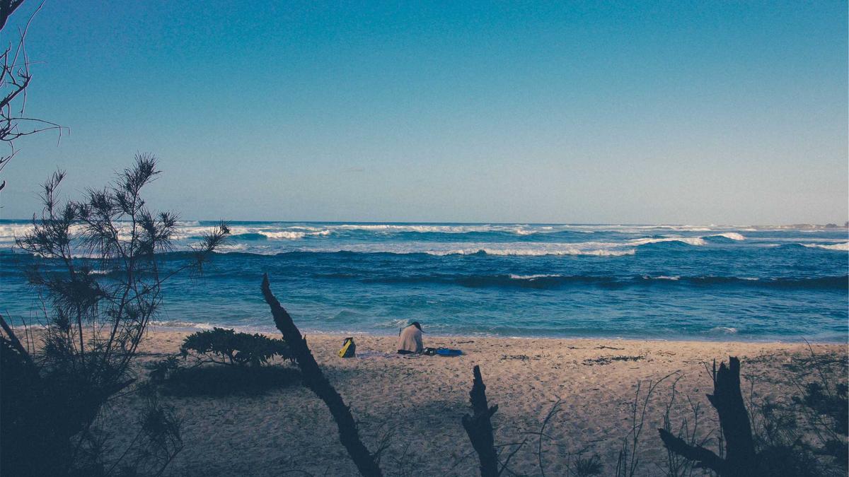 Detailansicht: Pokémon Feuerrote Edition