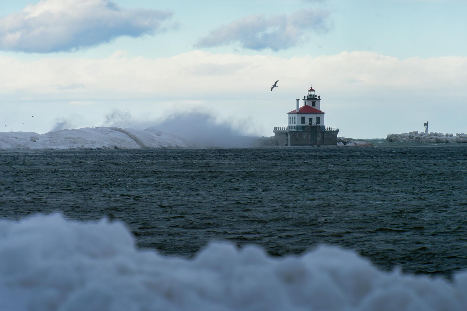 Detailansicht: Prinz William Saudi Arabien