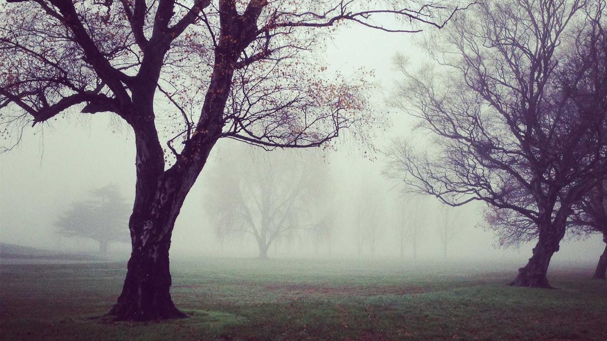 Ralph Stöckli Kritik Symbolbild zum Thema Ralph Stöckli Kritik