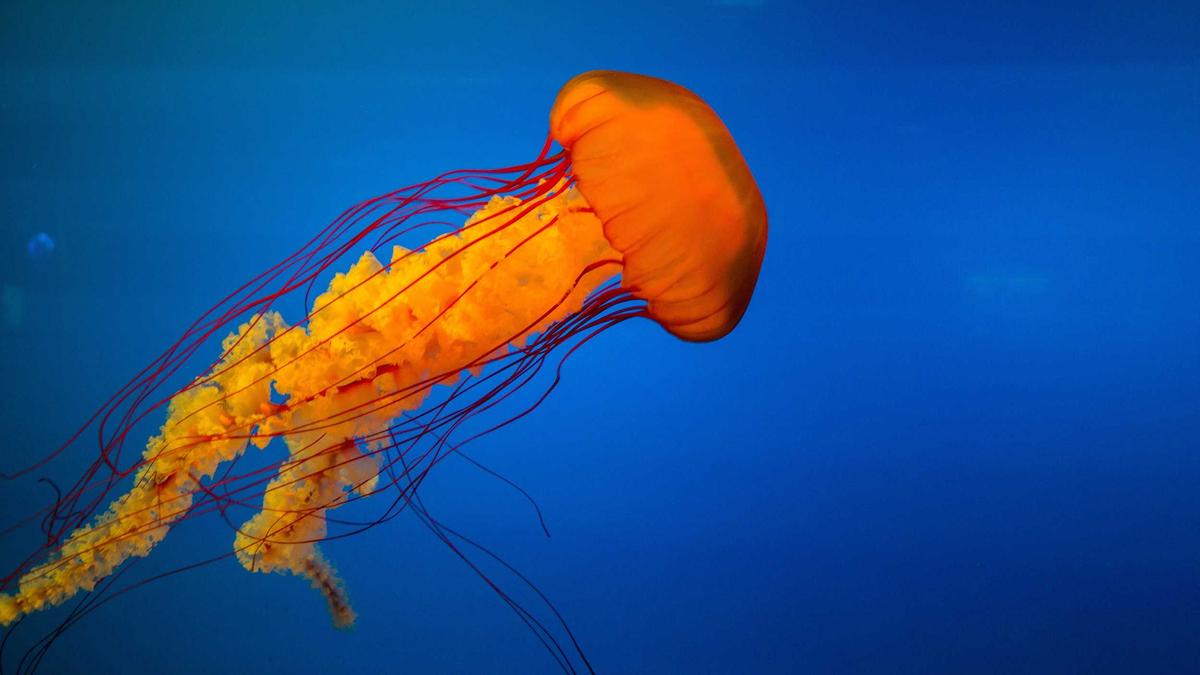 Robert Aramayo Bafta Symbolbild zum Thema Robert Aramayo Bafta