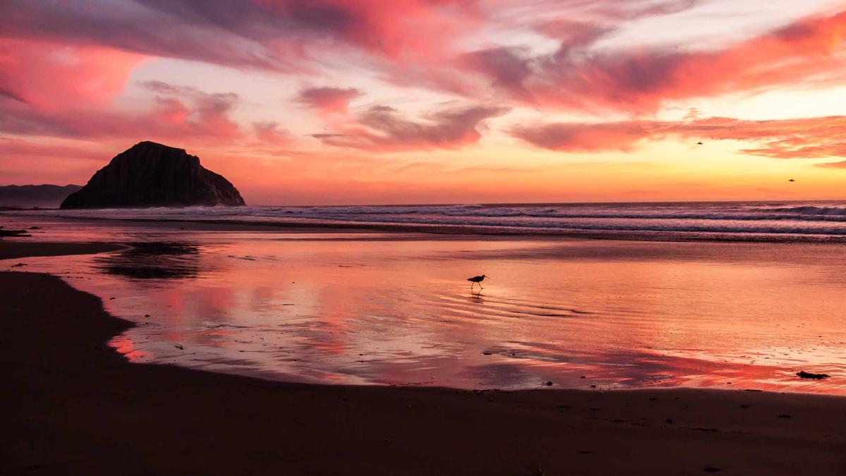 Detailansicht: Robert Duvall Gestorben