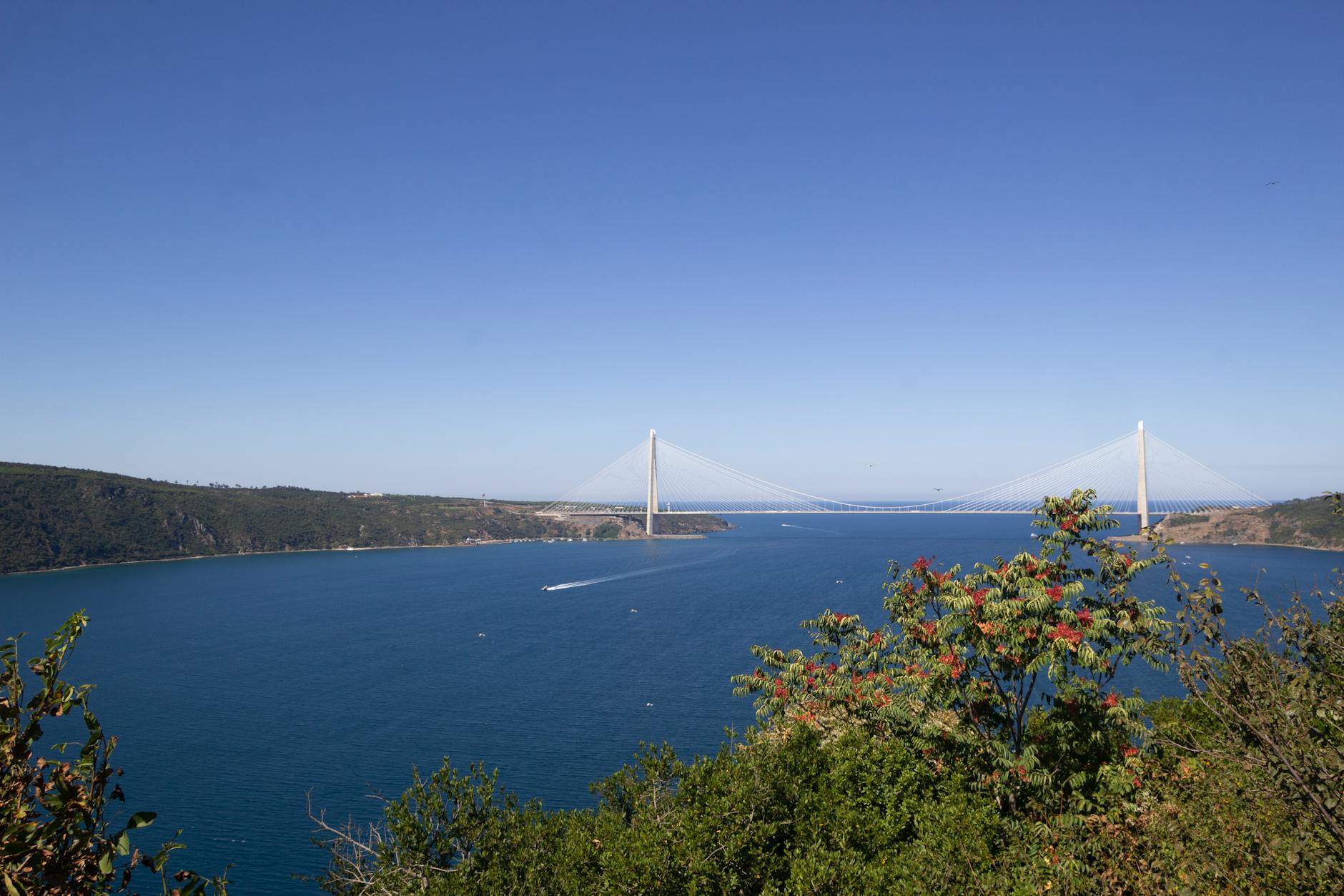 Detailansicht: Samira Yavuz Dschungelcamp