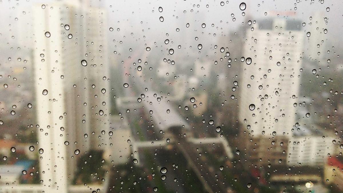 Sandra Bullock Aktuell Detailansicht: Sandra Bullock Aktuell