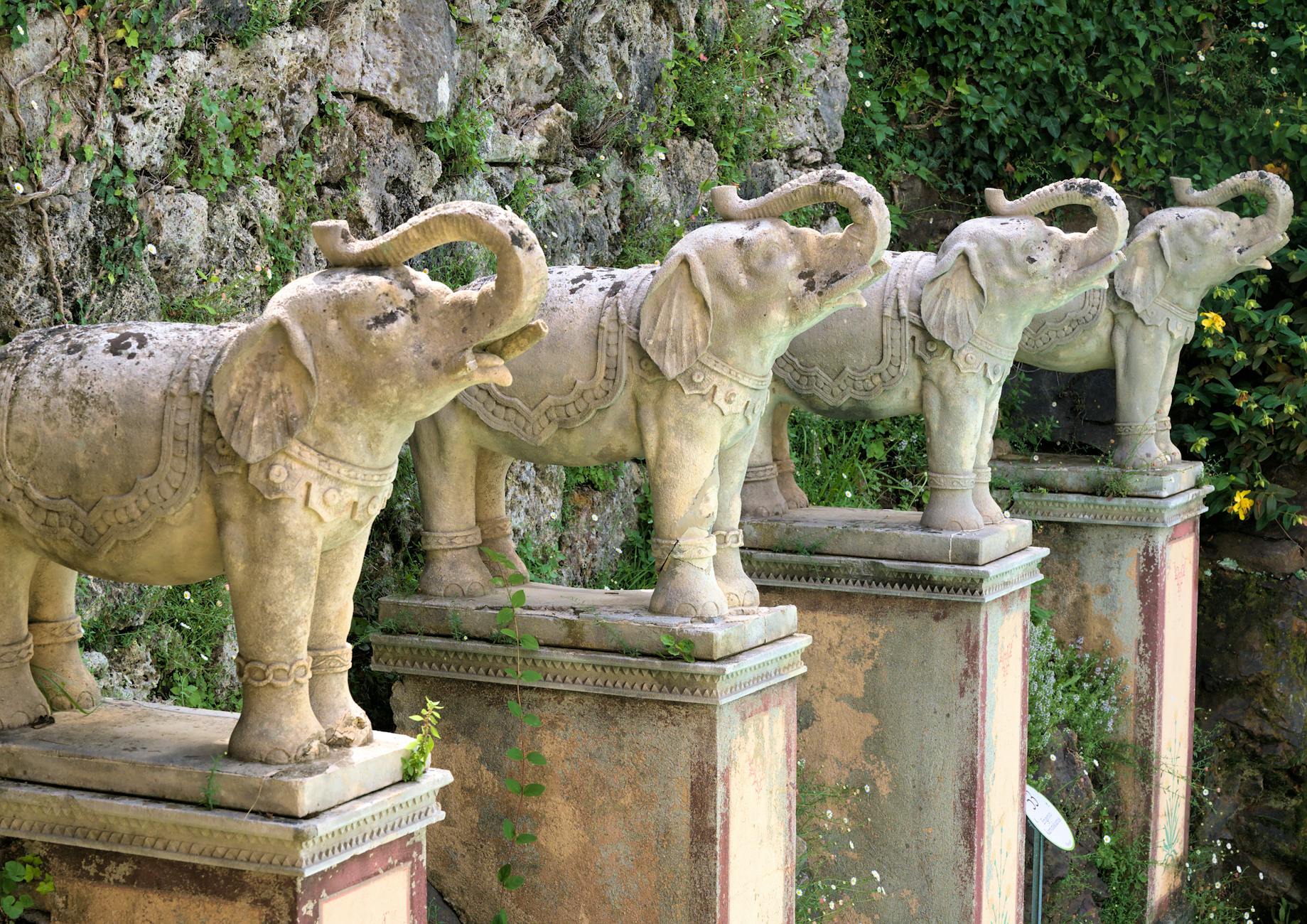 Scherrer Verletzt Illustration zu Scherrer Verletzt