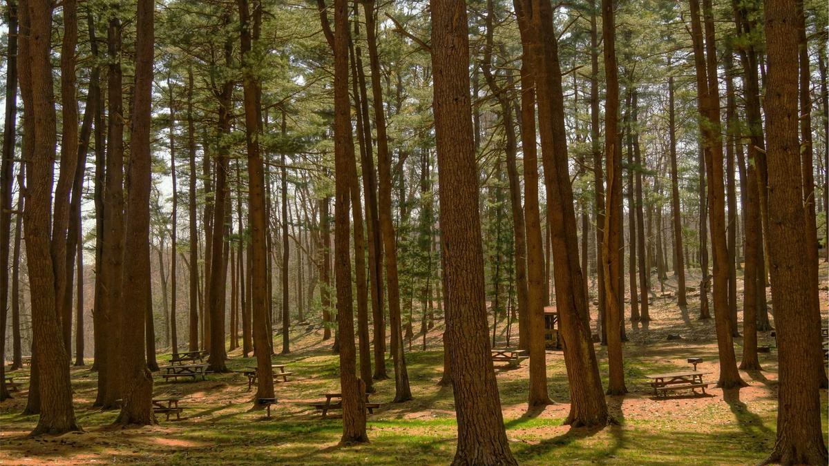 Detailansicht: Schießerei Rhode Island