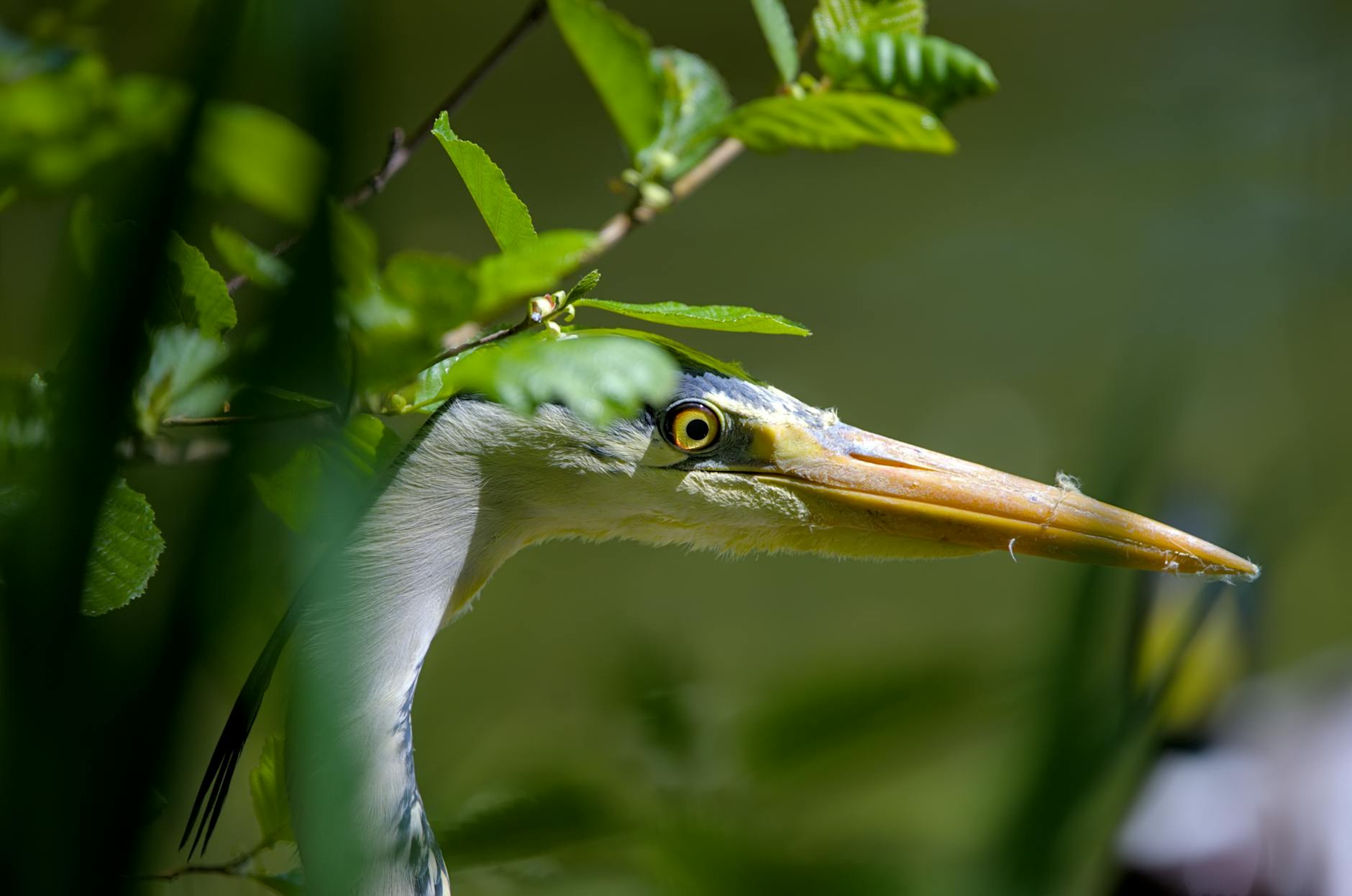 Schulräumung Salzgitter Detailansicht: Schulräumung Salzgitter