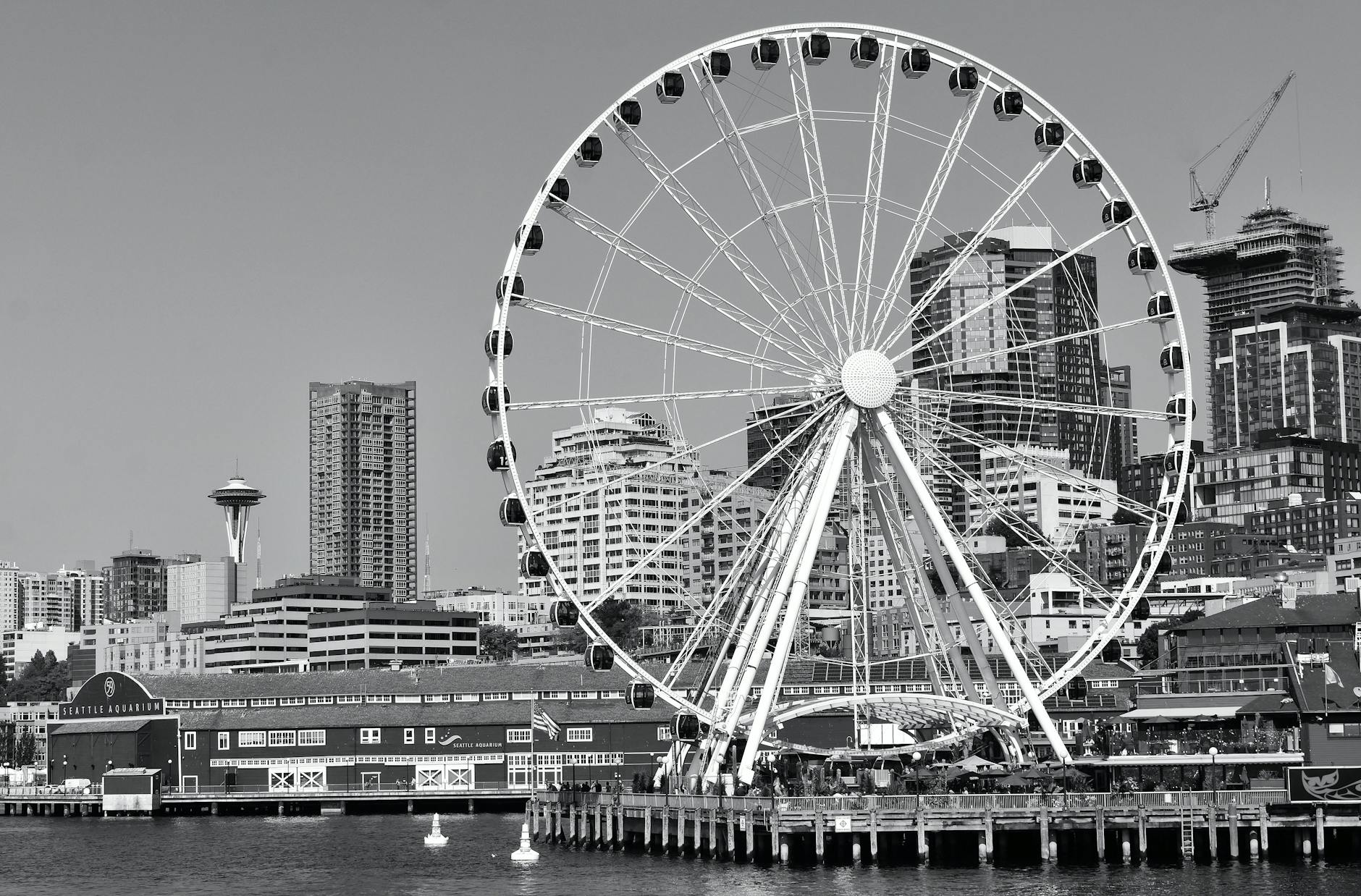 Illustration zu Seattle Seahawks Super Bowl