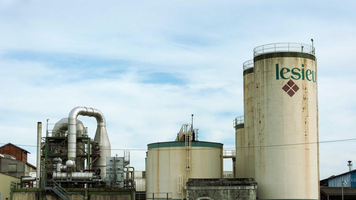 Illustration zu Sing Meinen Song 2026