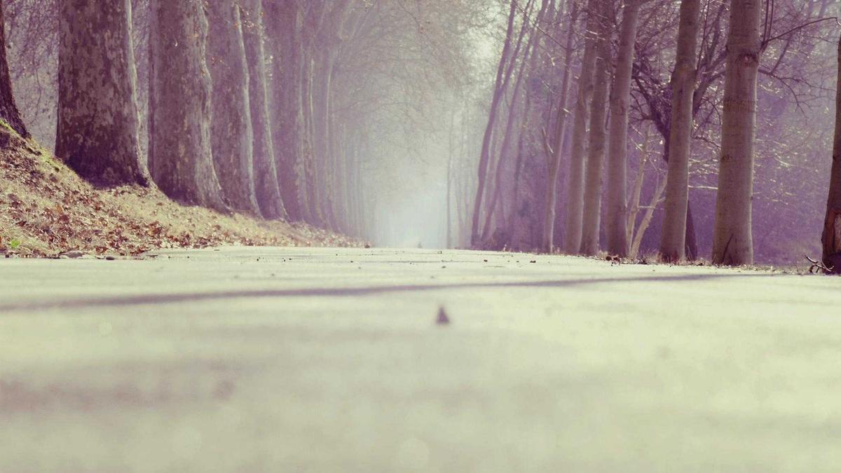 Symbolbild zum Thema Skicross Olympia Frauen