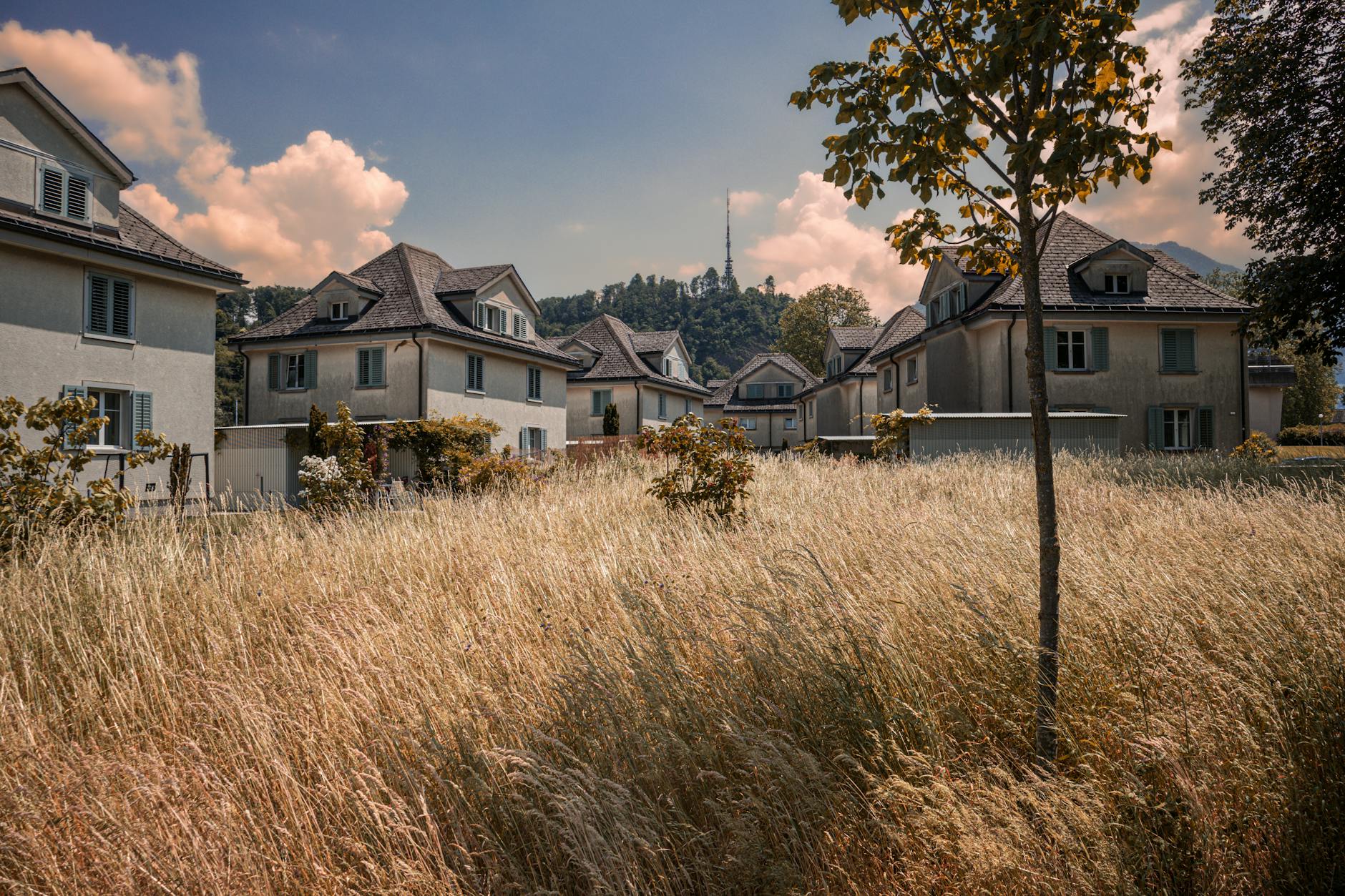 Illustration zu ST Gallen Gegen GC