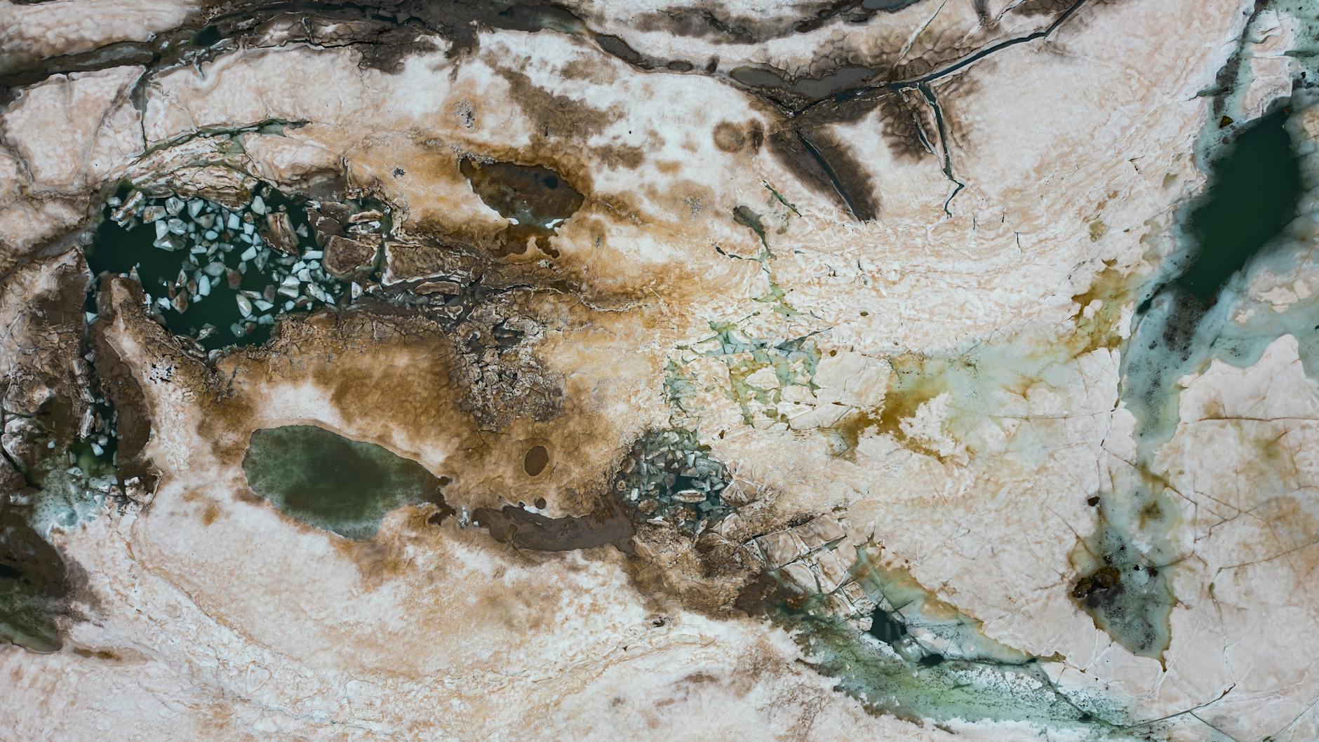 Detailansicht: ST. Gallen – Grasshoppers