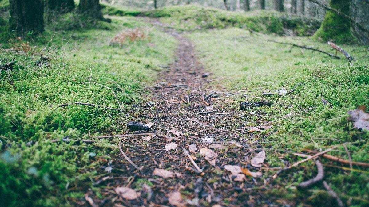 Detailansicht: Strompreise