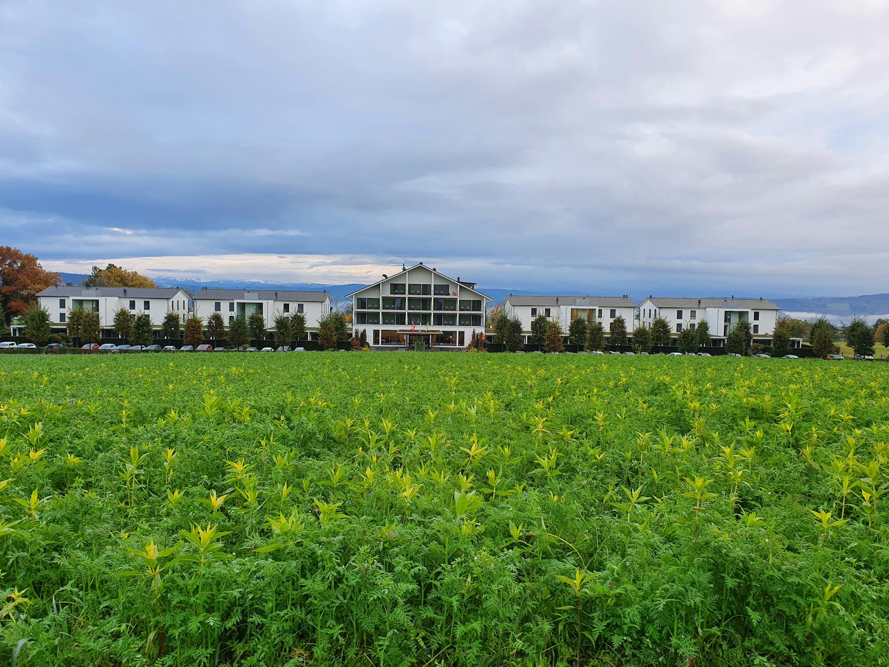 Illustration zu Suizidrate Thurgau