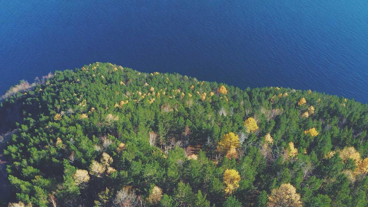 Detailansicht: Teresa Stadlober Langlauf