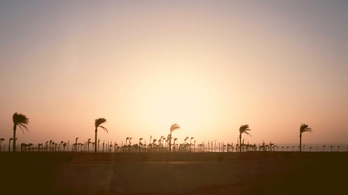 Illustration zu Tokyo Skytree Unfall