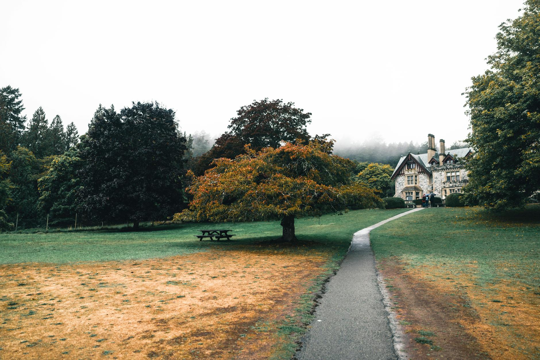 Detailansicht: Tudor Schmuck
