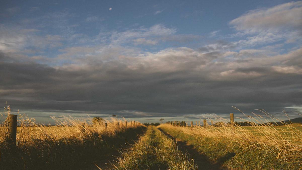 Detailansicht: Unter Anderen Umstaenden