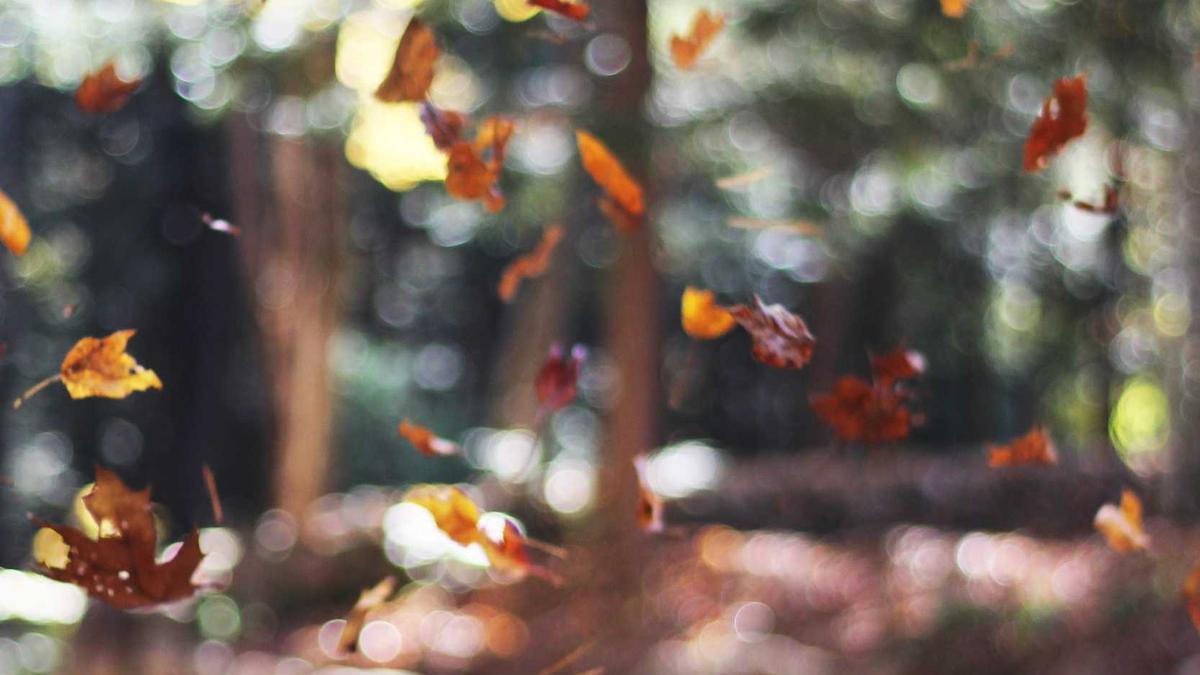 Symbolbild zum Thema Urteil Großglockner