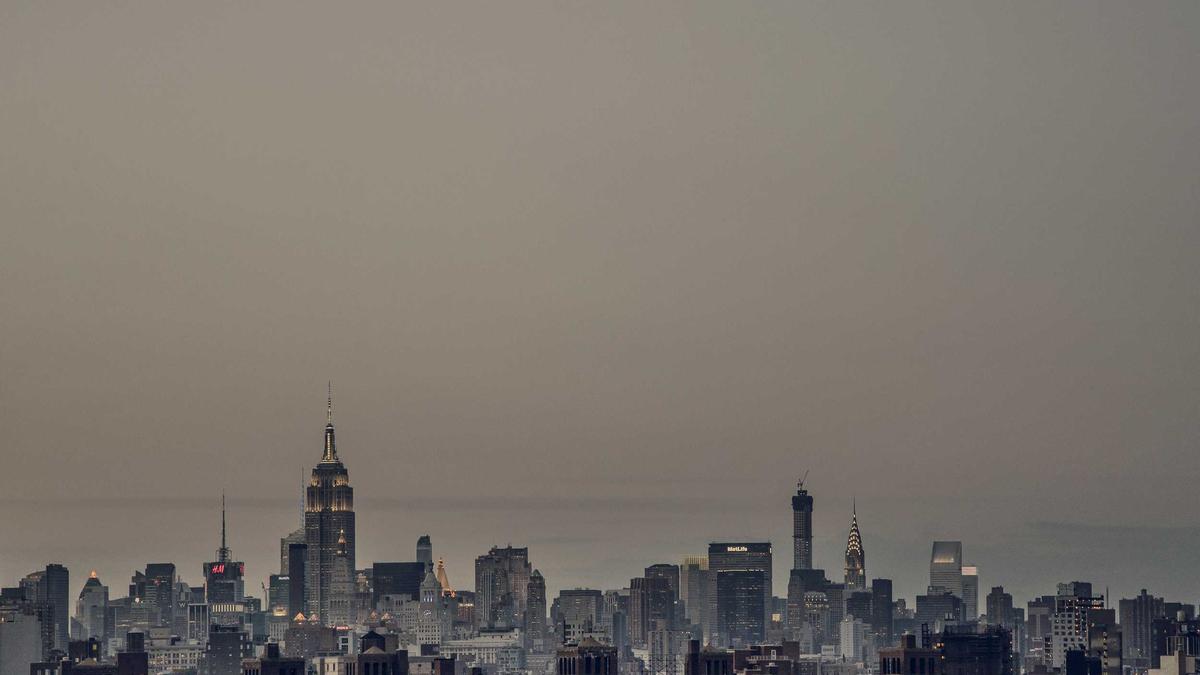 Urteil Pilz Buch Illustration zu Urteil Pilz Buch