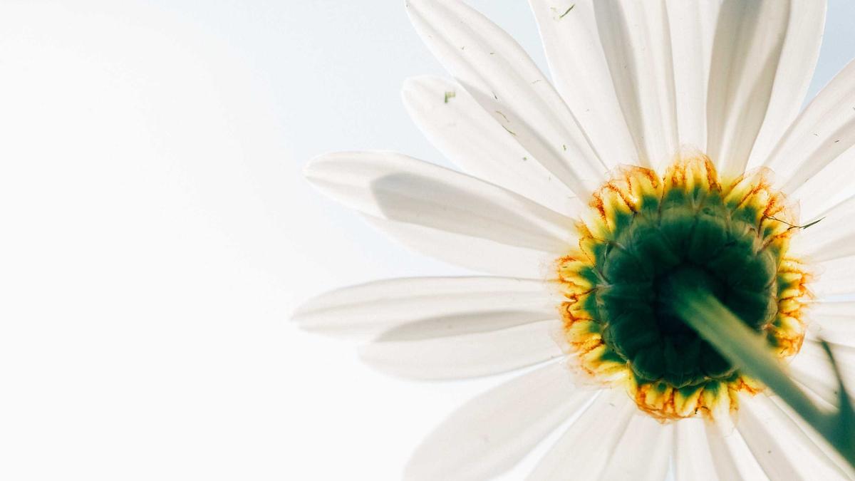 Detailansicht: USA Iran Verhandlungen