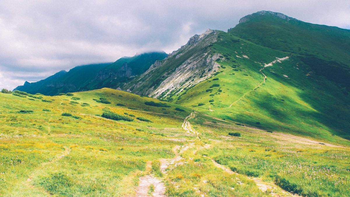 Symbolbild zum Thema Van Der Bellen Wehrpflicht