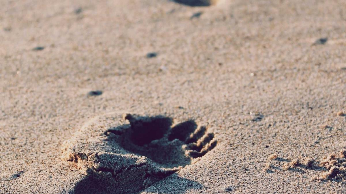 Illustration zu Verkehrshaus Zukunft