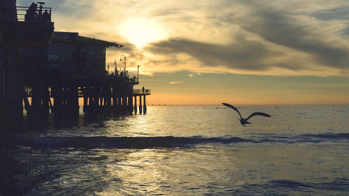 Detailansicht: Verkehrstote 2025