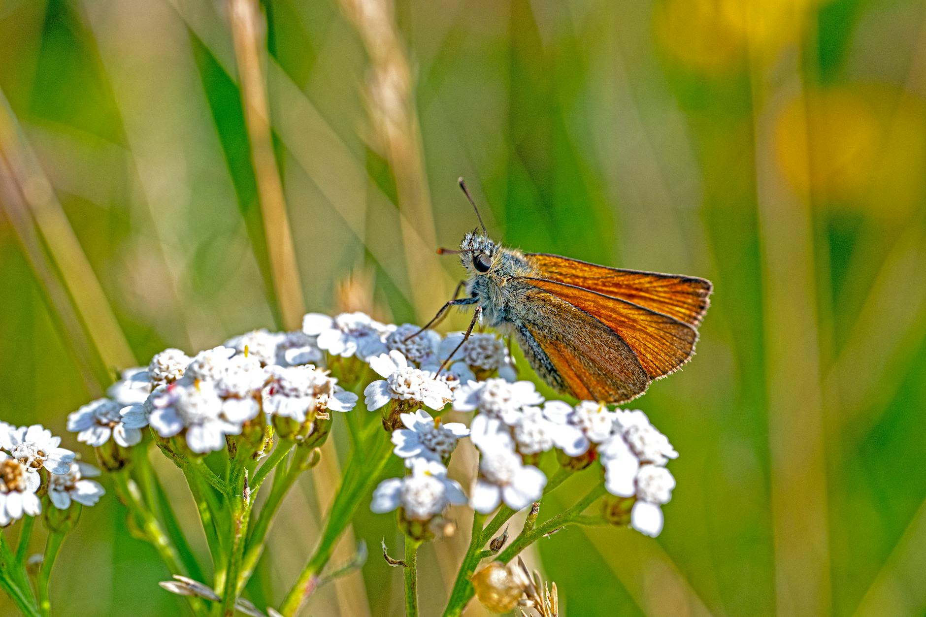 Detailansicht: Vermisstenfall Cuxhaven