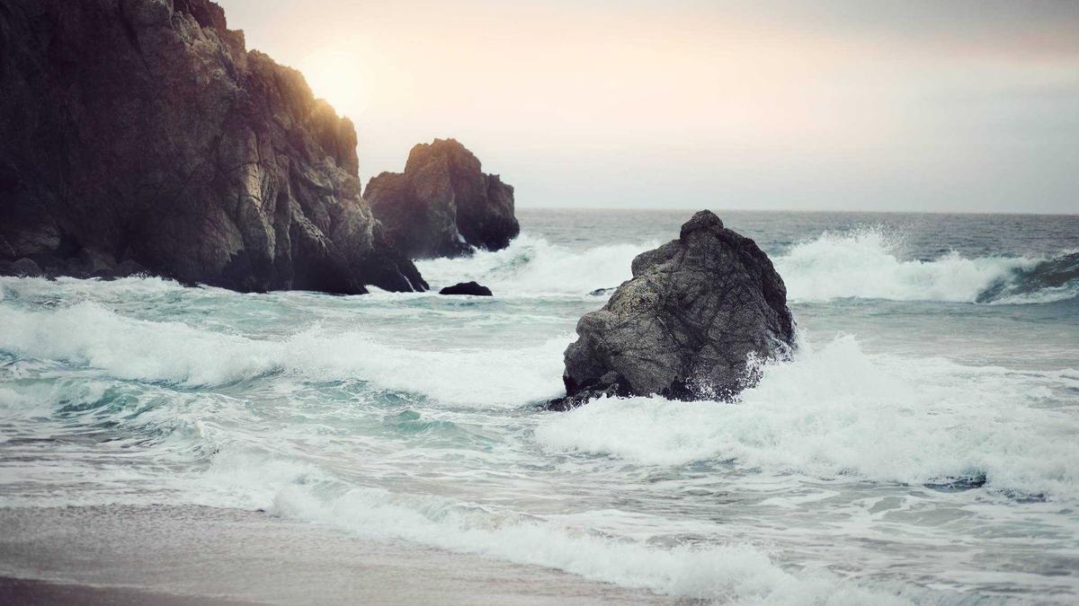 Detailansicht: Wadephul