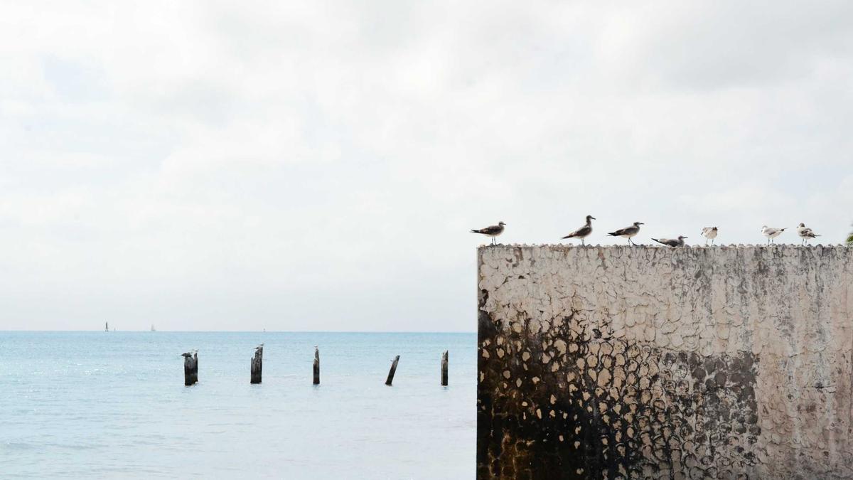 Illustration zu Wahlomat BW