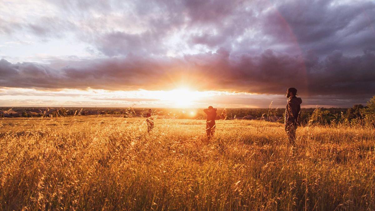 Illustration zu Wer Ist Williams Woods