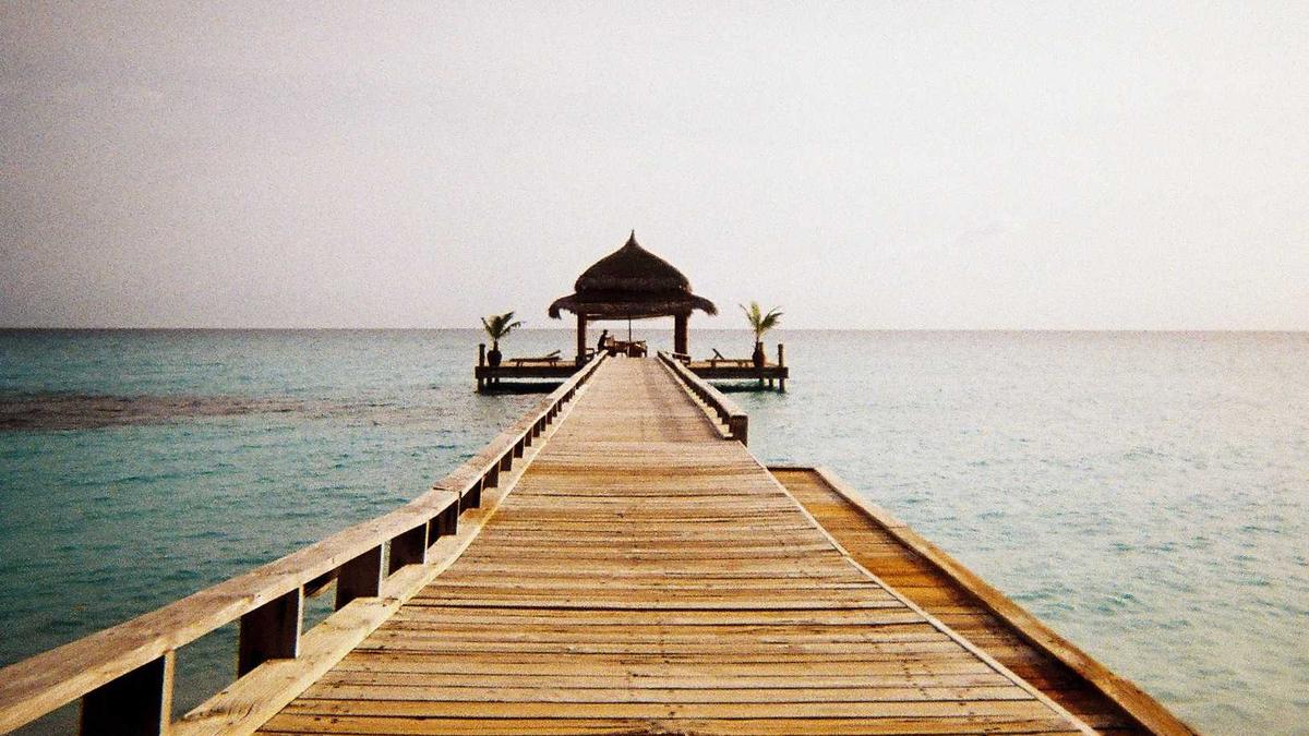 Detailansicht: Wer Weiß Denn Sowas Heute