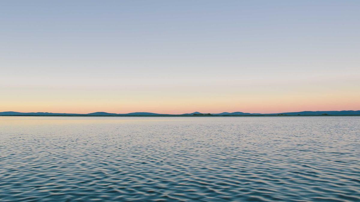 Zachery TY Bryan Alkohol Illustration zu Zachery TY Bryan Alkohol