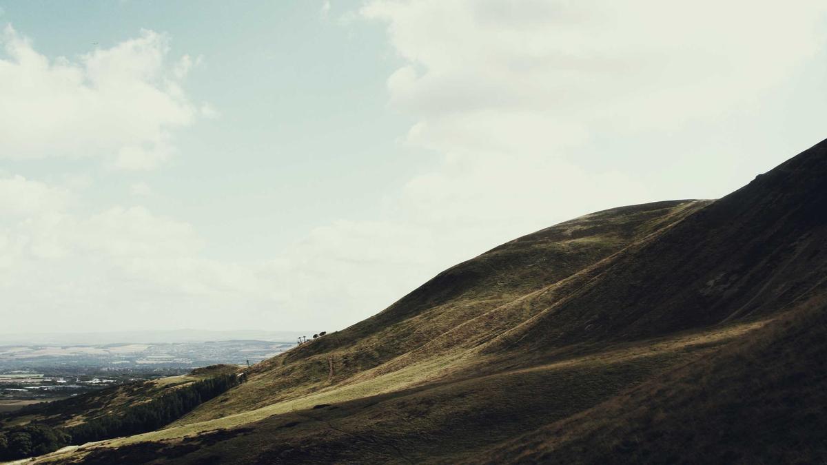 Detailansicht: Zalando Betrug