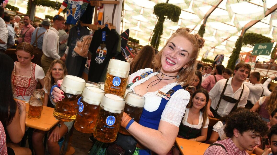Bier allein reicht nicht?: Brauerpräsident schlägt vor: Oktoberfest-Besucher sollen Eintritt zahlen