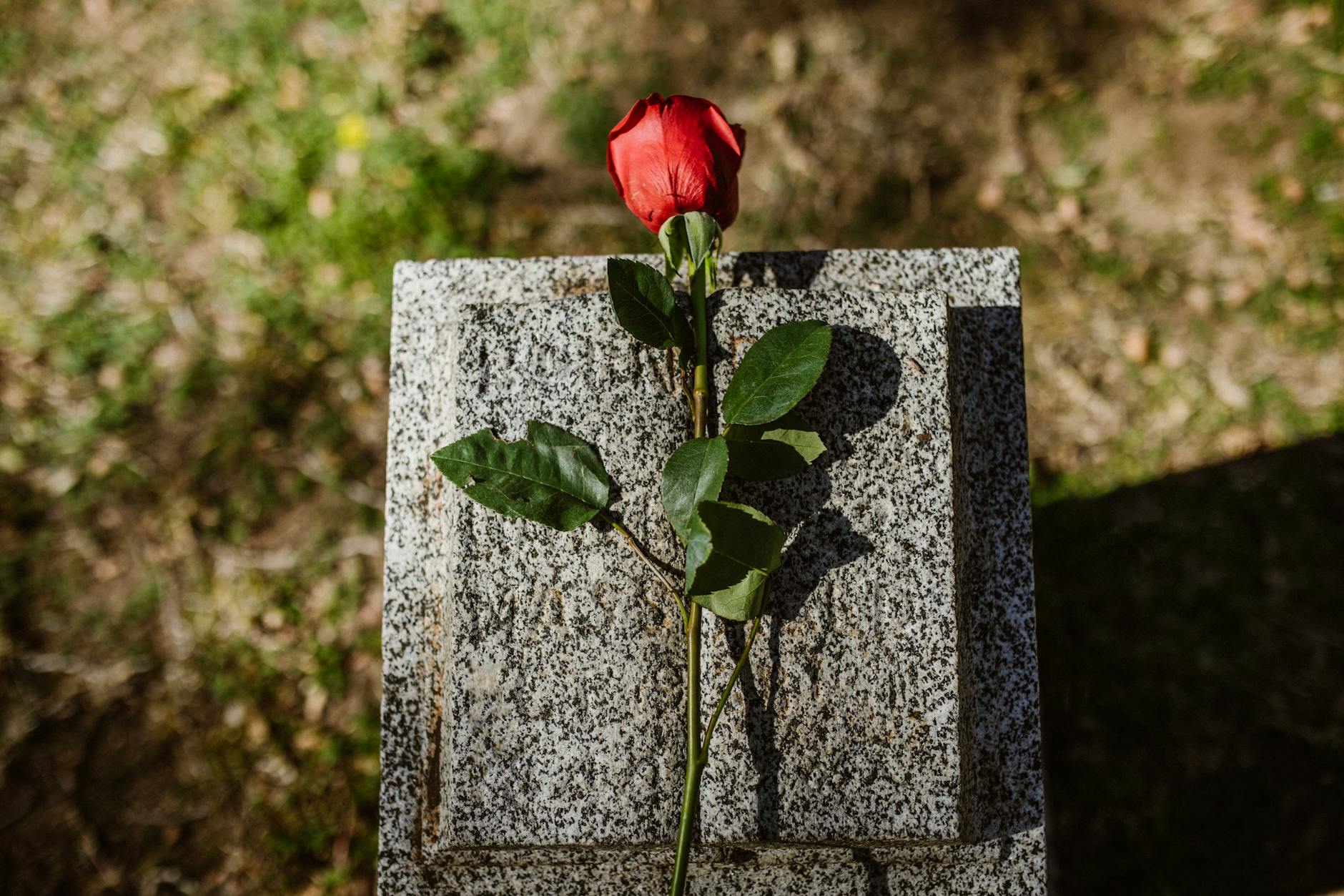 eternal – Foto: RDNE Stock project / Pexels