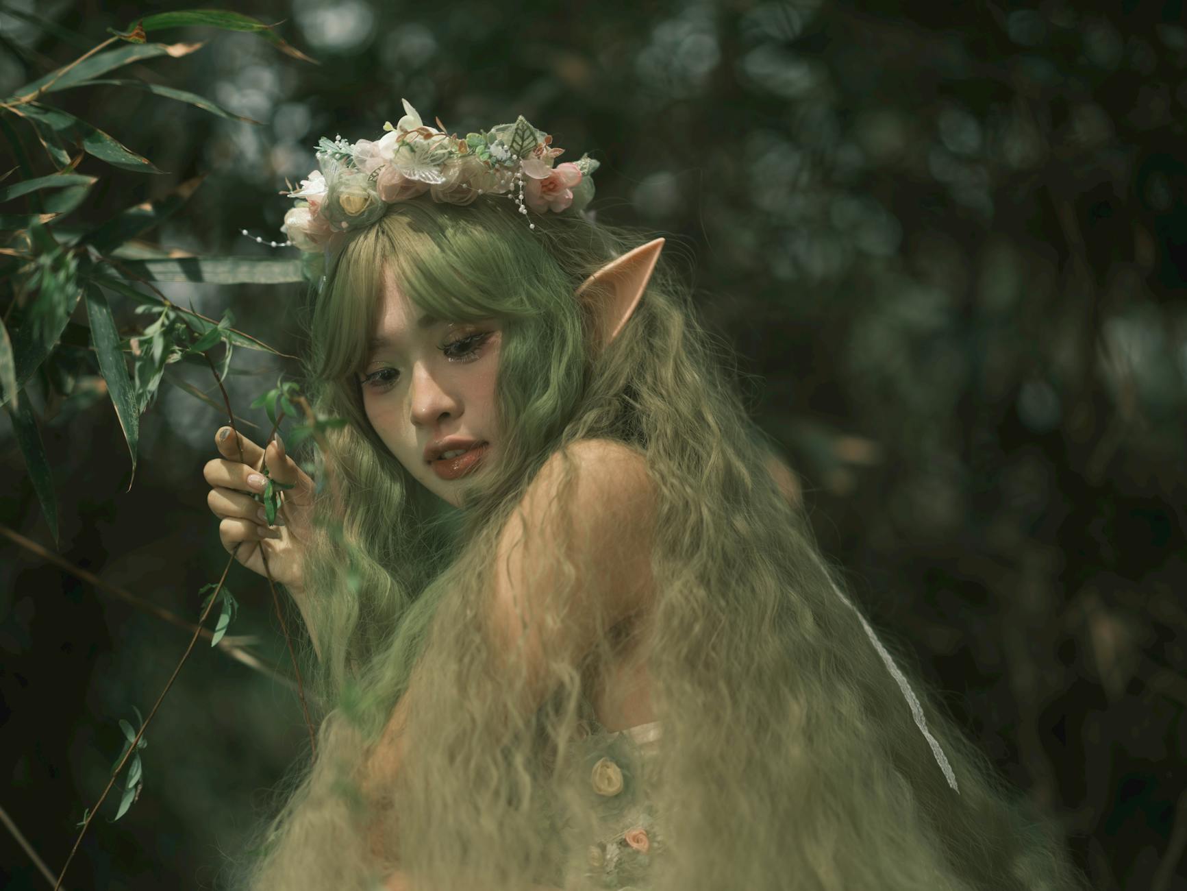 Fantasy – Foto: TBD Tuyên / Pexels