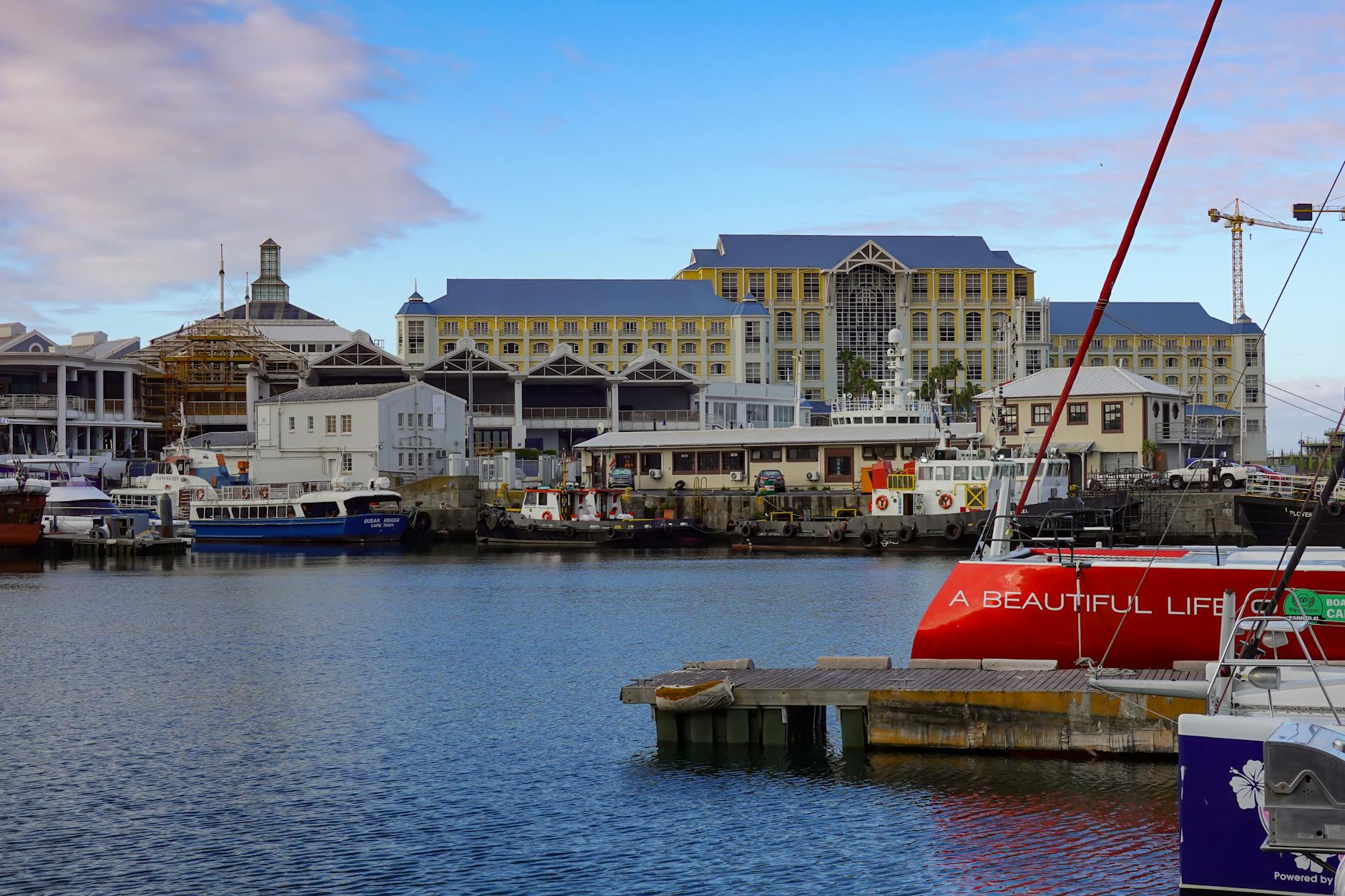 Alfred Noll Detailansicht: Alfred Noll