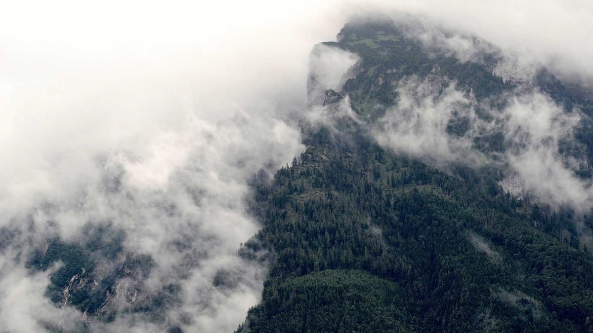 Detailansicht: Autounfall Alexandra Wimmer