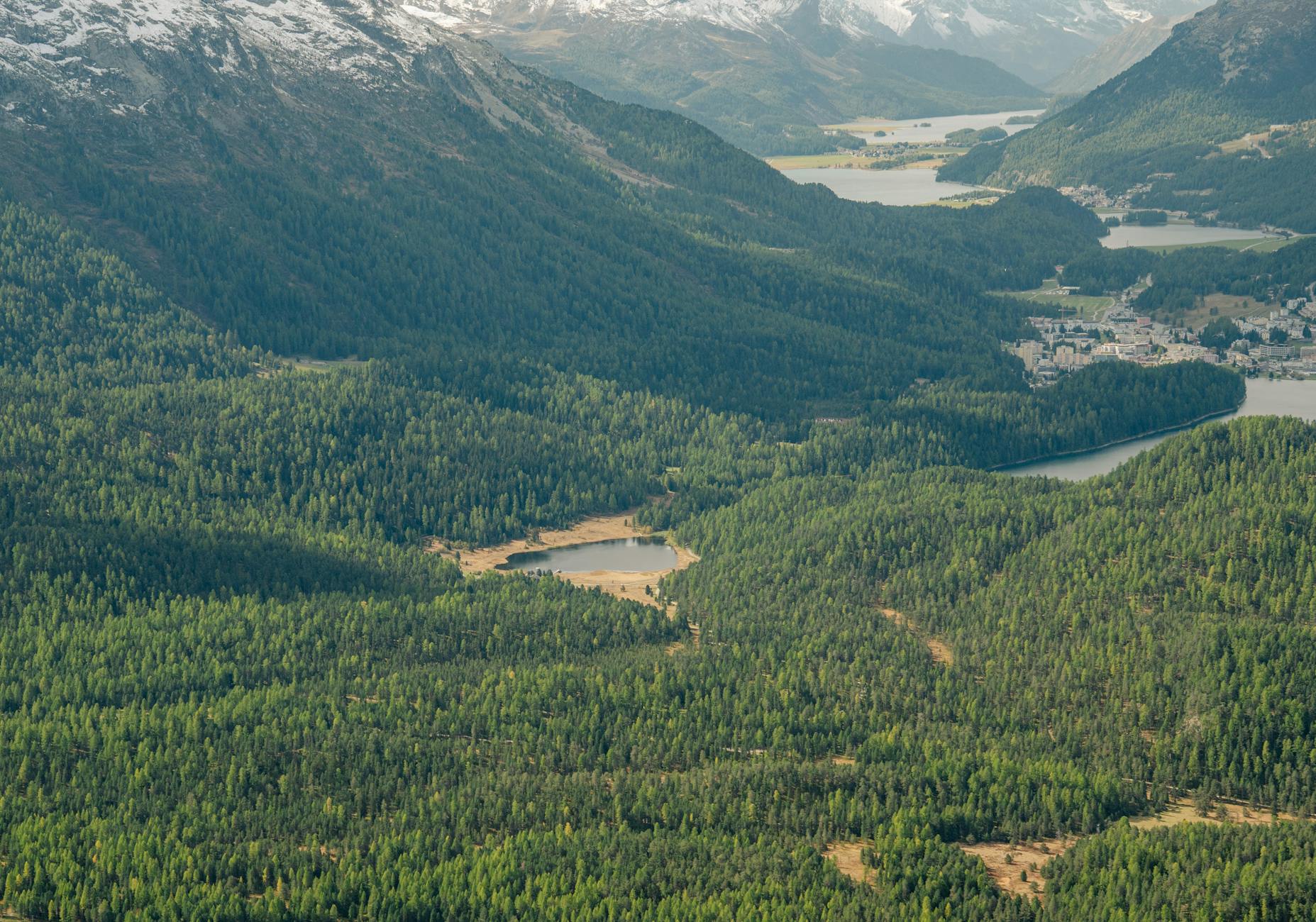 Benzinpreise Schweiz Detailansicht: Benzinpreise Schweiz