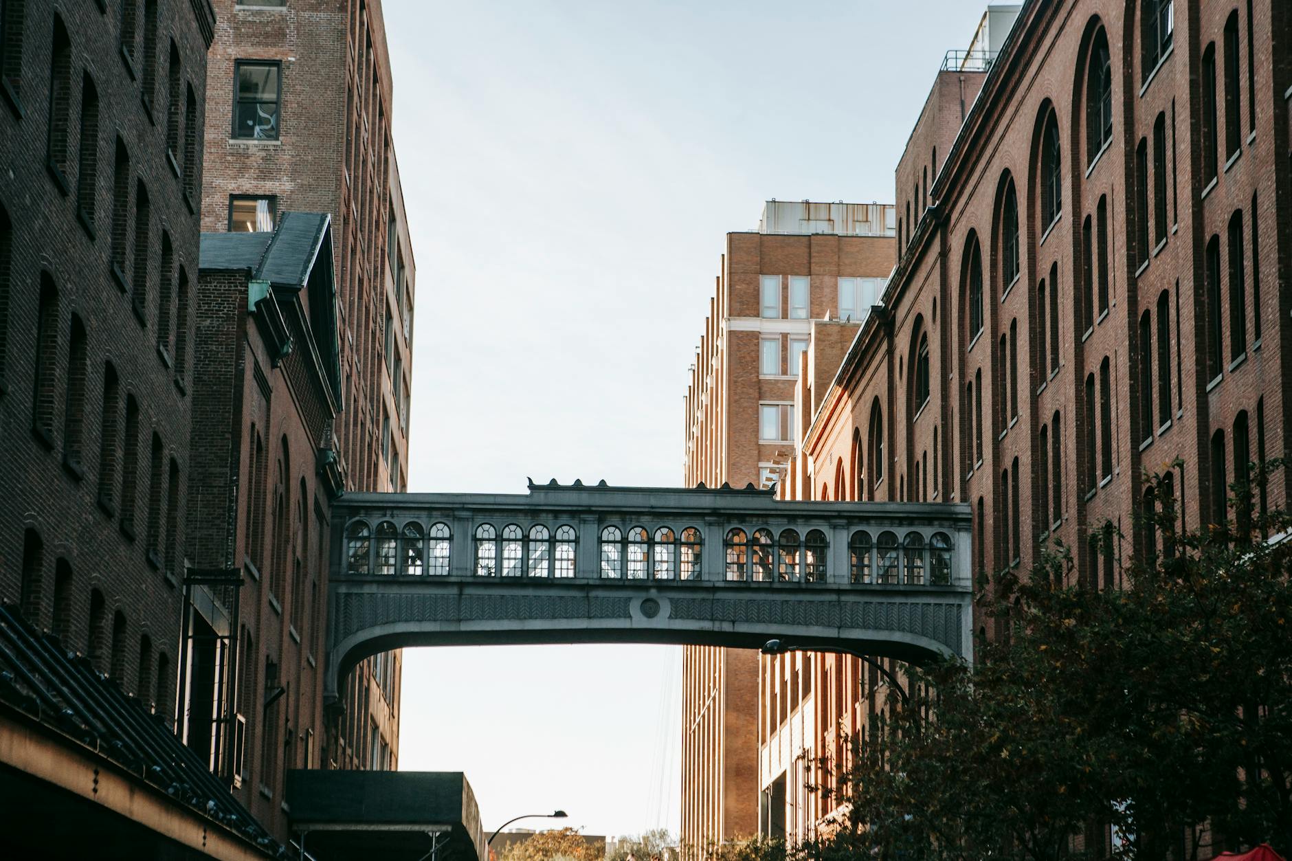 Illustration zu Chelsea – Newcastle