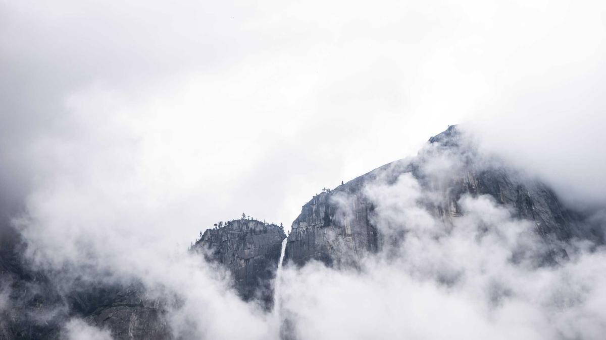 Illustration zu Collien Fernandes Demo