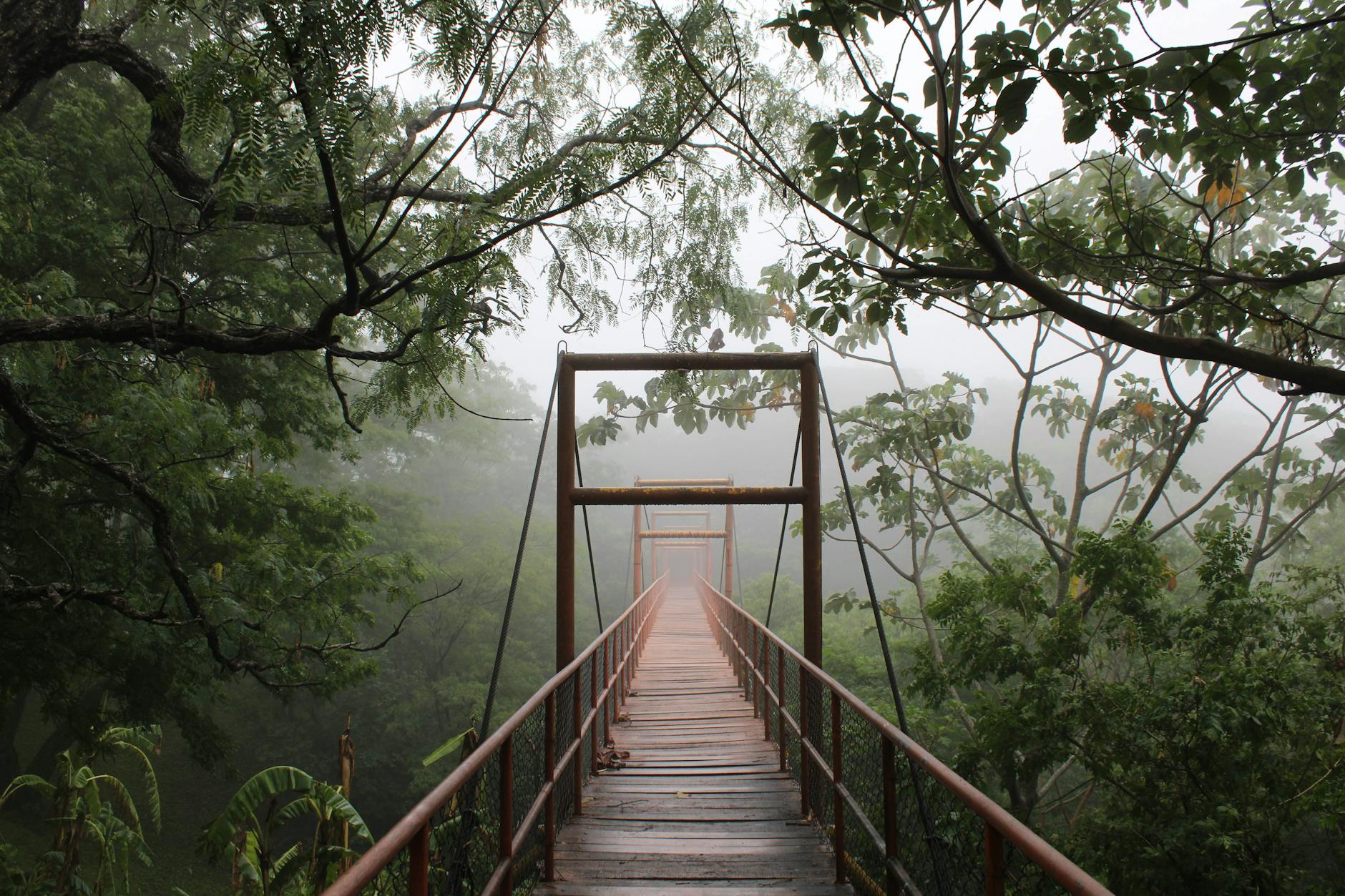 Detailansicht: Cruz Beckham Versöhnung