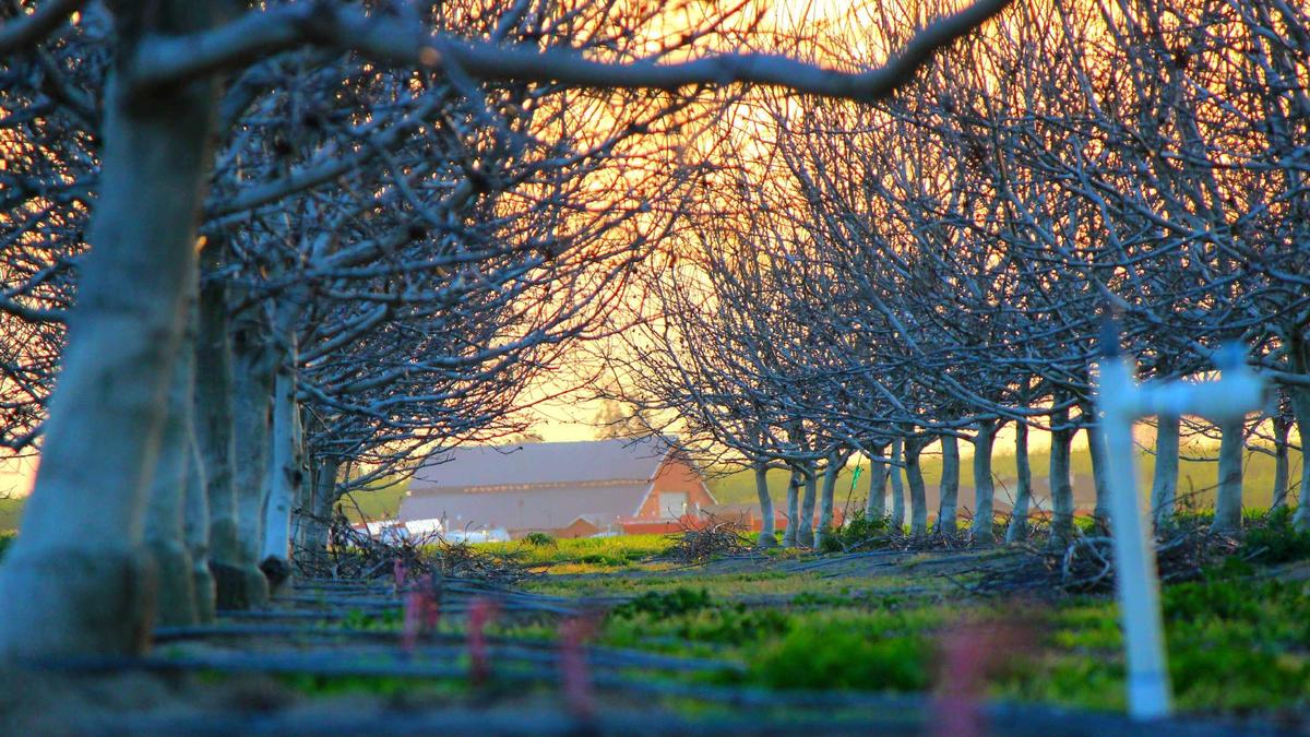 Elch Emil Detailansicht: Elch Emil