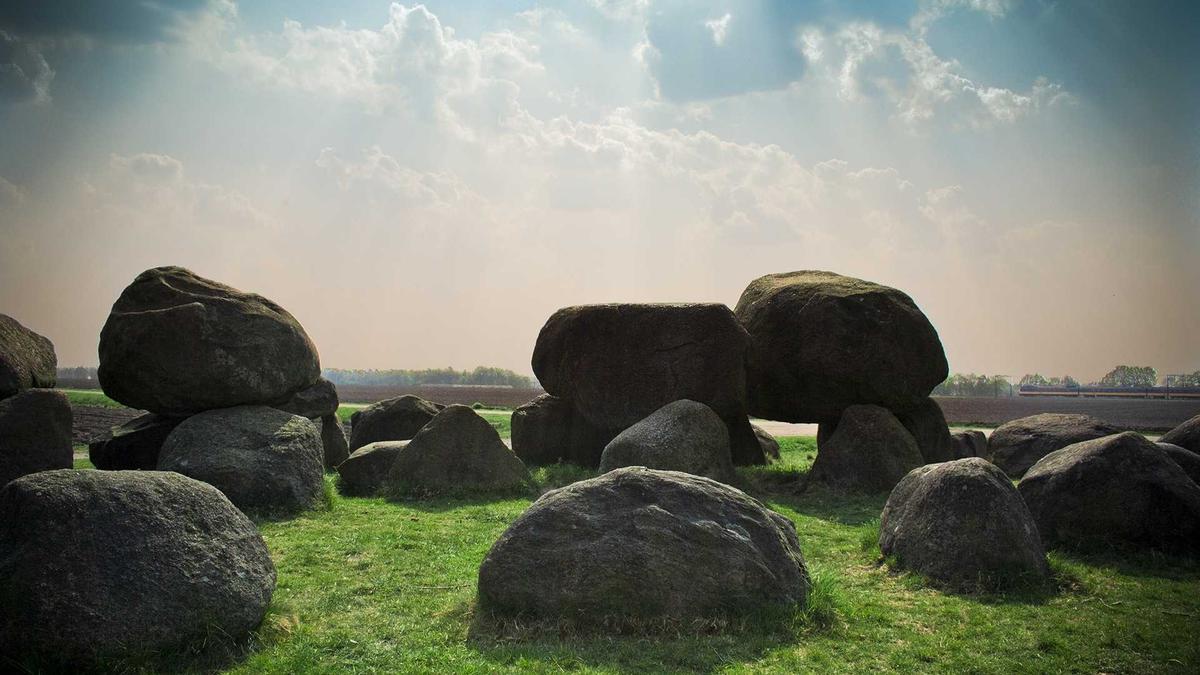 Elektrische Reinigungsbürste Illustration zu Elektrische Reinigungsbürste