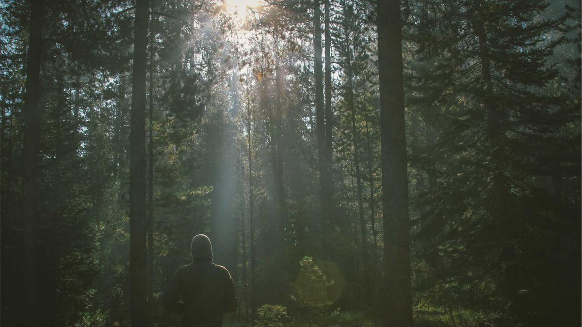 Evelyn Burdecki Illustration zu Evelyn Burdecki