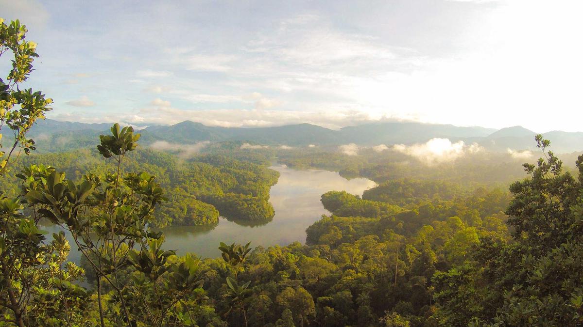 Symbolbild zum Thema F1