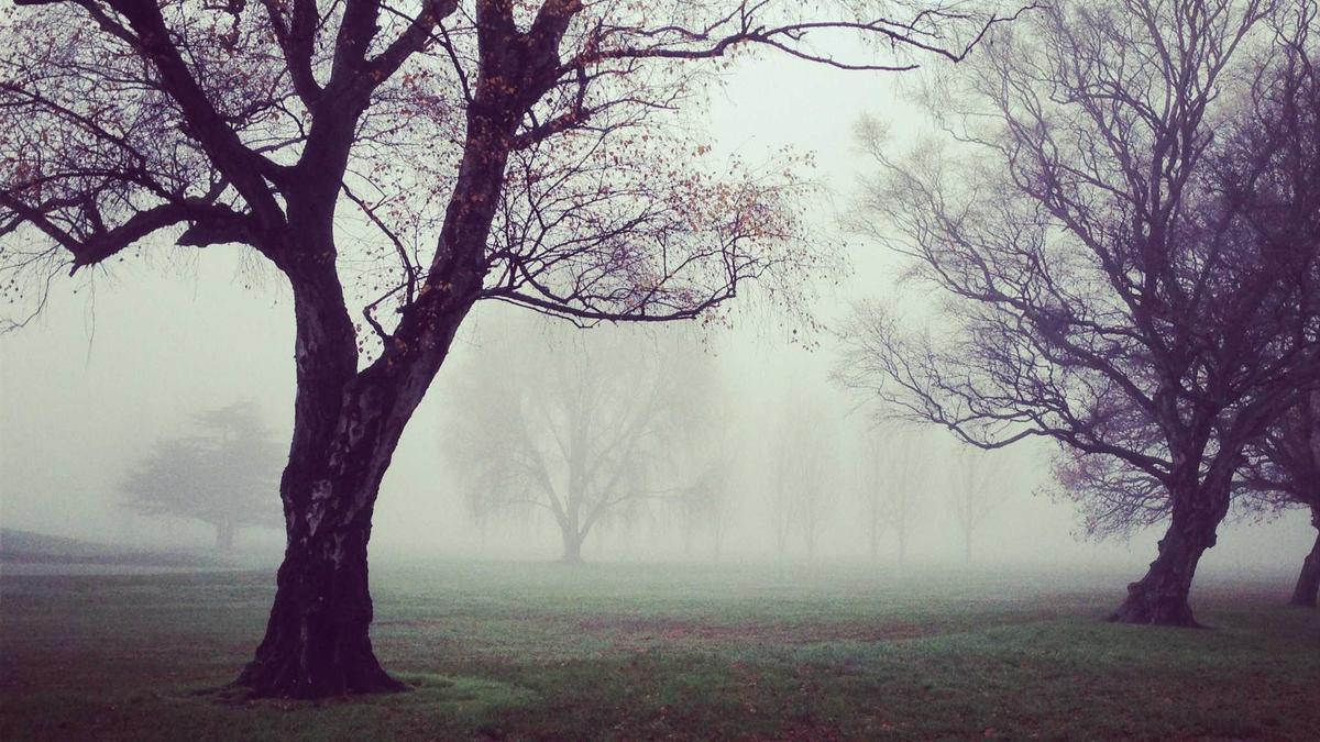 Detailansicht: Falschaussage Hanger