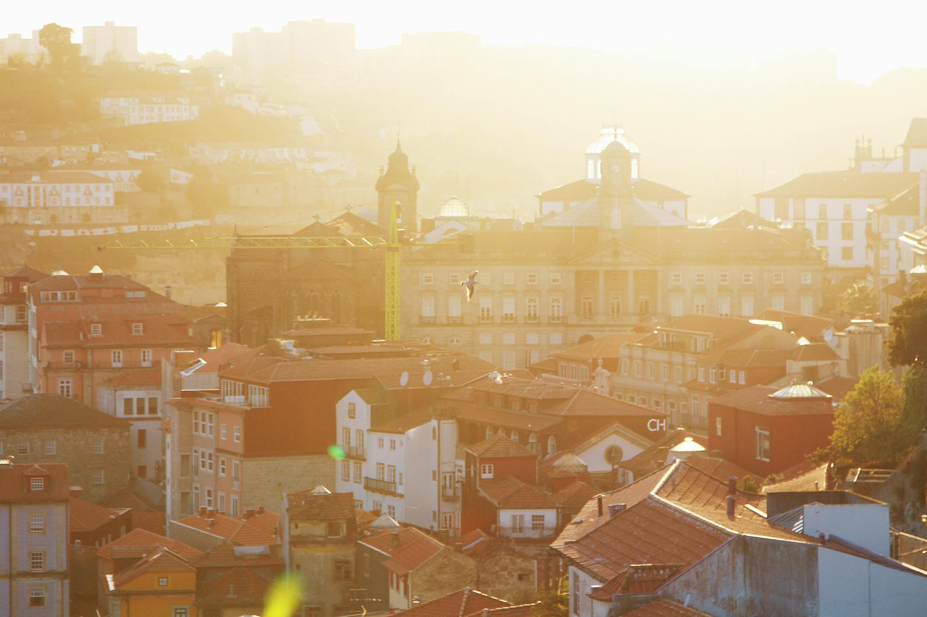 Illustration zu FC Porto – VFB Stuttgart